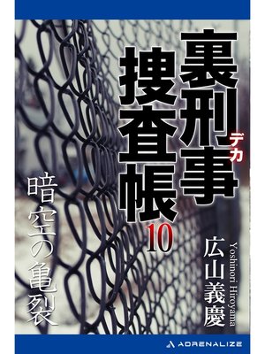 cover image of 裏刑事捜査帳（10）　暗空の亀裂